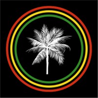 IRIE PROMOTIONS INC. Linkedin Business page logo - Similar company to Ldi Solutions Inc.