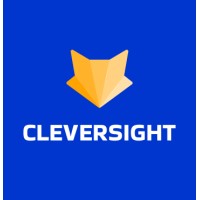 Cleversight logo - Similar company to Impronta Ict Security