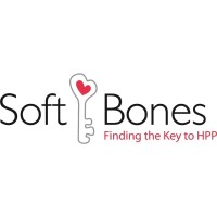 Soft Bones, Inc. logo - Similar company to Rockblox