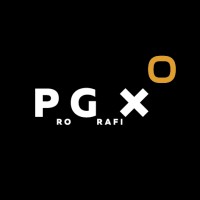 PROGRAFIX - more than PRINT logo - Similar company to Immerge.Studio