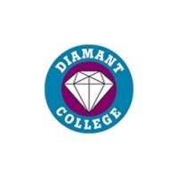 Diamant College logo - Similar company to Paperbrain®