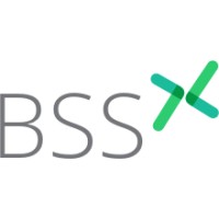 BSS labs logo - Similar company to S.B. Granites Limited
