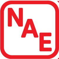 Nicholas Auto Enterprises (Pty) Ltd logo - Similar company to Trysome Auto Electrical Engineering (Pty) Ltd