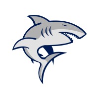 SSPART Enterprise Pvt Ltd logo - Similar company to Adhira Tech Inc