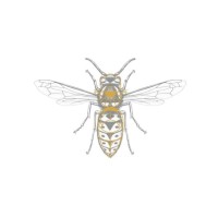 Sianches logo - Similar company to Bijjora World