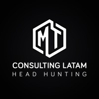 MT Consulting LATAM logo - Similar company to Mt Consulting