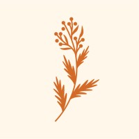 Sagebrush Stays logo - Similar company to Stunning Stays