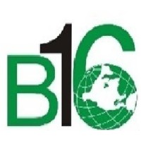 B16 OTOMASYON MAKİNA BİLGİ TEKNOLOJİLERİ SAN.xn--tic-9dc.LTD.xn--ti-eta21o. logo - Similar company to Huawei Student Developers (Hsd) Bursa Technical University