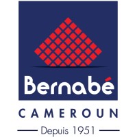 Bernabé Cameroun logo - Similar company to Yeshi Group It
