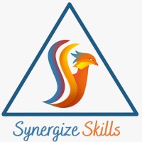 Synergize Skills logo - Similar company to Stg Trainings