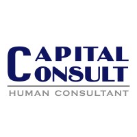 Capital Consult logo - Similar company to Edufina
