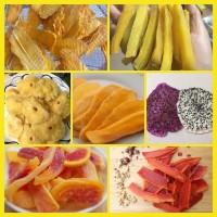 Vietnam processed fruit and vegetable logo - Similar company to B Sky Native And Modified Tapioca Starch
