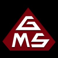 Gümüş Makine sanayi logo - Similar company to Acel Makine Ve Kimya Sanayi