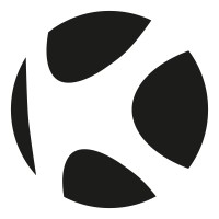 Koinsys logo - Similar company to Bym Ingema