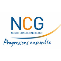 NCG - North Consulting Group logo - Similar company to Mobivia Database