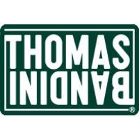 Thomas Bandini srl logo - Similar company to Stealth Consulting