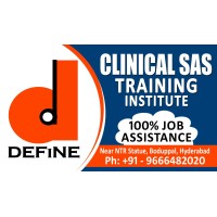 DEFINE CLINICAL SAS TRAINING INSTITUTE logo - Similar company to R Essentials Hub