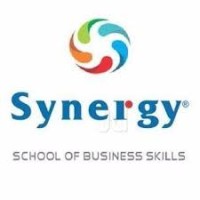 SYNERGY KANNUR logo - Similar company to Kannur One