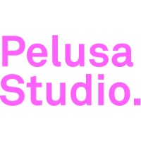 PelusaStudio. logo - Similar company to Zhud & Co.