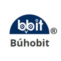 Buhobit Ltda logo - Similar company to Nexia
