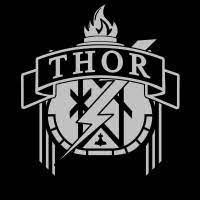 THOR Global Defense Group, Inc. logo - Similar company to Federal Armament Llc