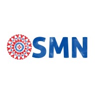 SMN logo - Similar company to Smn Mão De Obra Especializada