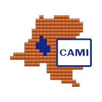 Cadastre Minier - CAMI RDC logo - Similar company to Arsp - Autorité De Régulation De La Sous-Traitance Dans Le Secteur Privé