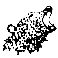 Bear Logic Liquidations, LLC logo - Similar company to Materialize Labs