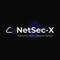 NetSec-X logo - Similar company to Tis Partners