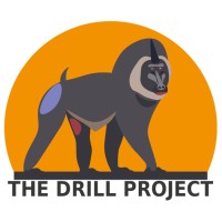The Drill Project logo - Similar company to Bio Logical, Llc