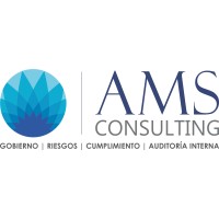 AMS CONSULTING SAC logo - Similar company to Accimetric