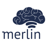 Queen's Merlin Neurotech logo - Similar company to Jonayves Learning Club