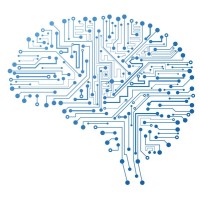 Neuroscience Informatics logo - Similar company to Computational Social Neuroscience Lab