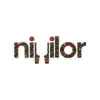 Niyilor Ltd logo - Similar company to Digitsol