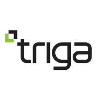 TRIGA DISPLAYS logo - Similar company to Big Visual Group