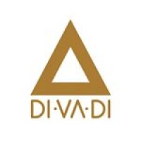 DIVADI logo - Similar company to Leap10X