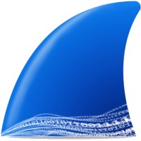 Wireshark Foundation logo - Similar company to Freemind Tech بالعربي 🎙️