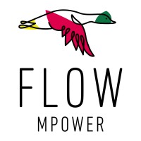 FLOW MPower logo - Similar company to Cameron And Wilding