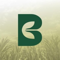 Fazenda Boa Esperança - Ademir Ferreira de Mello logo - Similar company to The Pride Of Russia || The Ecosystem Of Fcks Samara Supporter