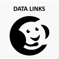 Data Links logo - Similar company to Datalinks