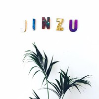JINZU logo - Similar company to Craft & Flow
