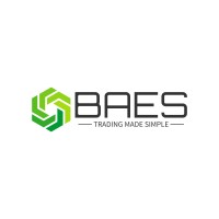 BAES Solutions LLC logo - Similar company to Vozalt