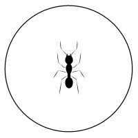 Total IPM logo - Similar company to Bugwise Pest Control