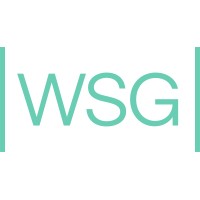 WSG AG logo - Similar company to Wsg