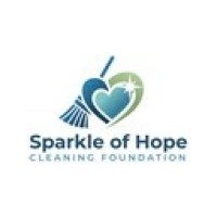 Sparkle of Hope Cleaning Foundation logo - Similar company to Digital Practice