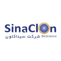SinaCloncompany89 logo - Similar company to Solution Studio