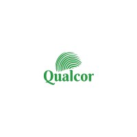 Qualcor Consulting logo - Similar company to Hics Technologies Pte Ltd