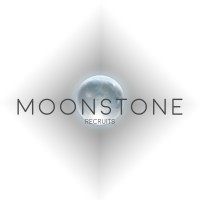 Moonstone Recruits logo - Similar company to Dampcon