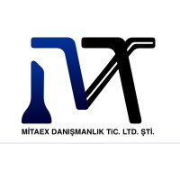 Mitaex logo - Similar company to Ponyboy Studio