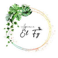 Sas El-Fy logo - Similar company to Amplitude Development Partners